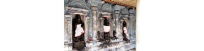திருக்கொலிலி - ஆவணி விதங்கர் - பிருங்க நடனம்